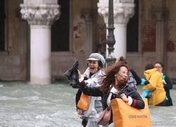 Enlace a Contra viento y marea