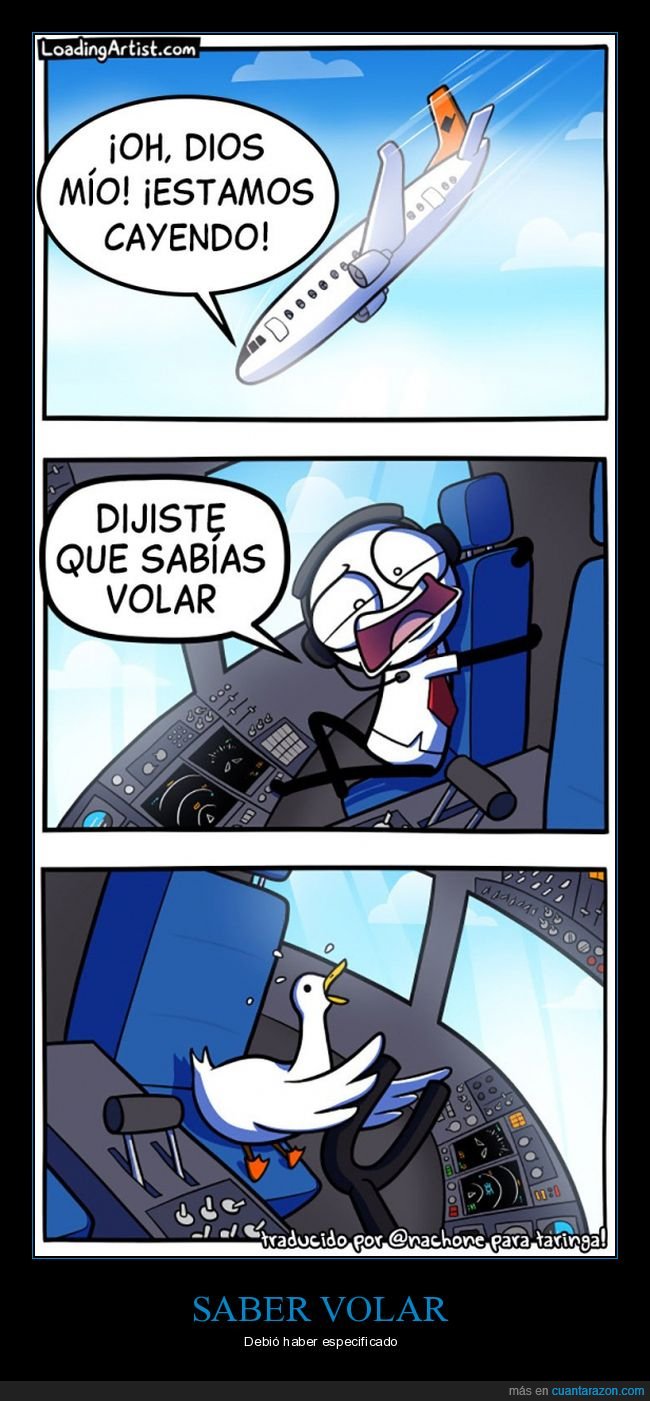 avión,cayendo,volar,pato