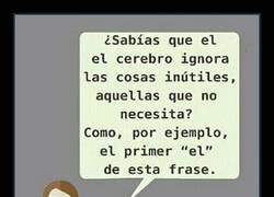 Enlace a Maravillas de nuestro cerebro