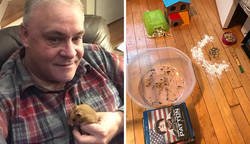 Enlace a Este padre perdió el hámster de su hija, y sus mensajes de preocupación muestran lo puro que es