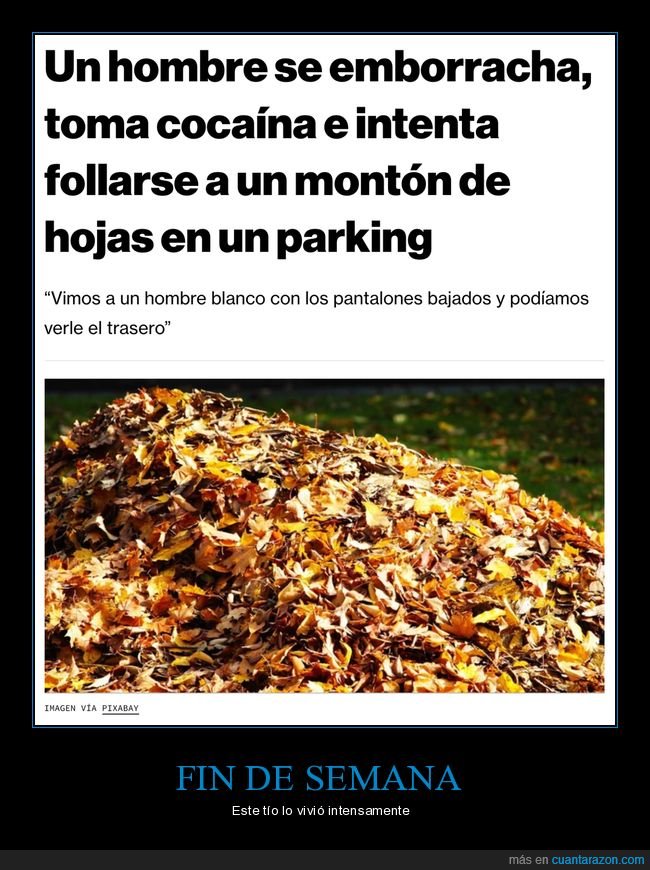 borracho,hojas,parking,wtf