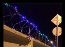 Enlace a Ya se siente la Navidad