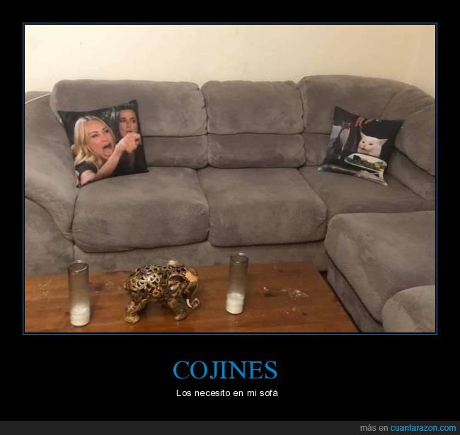 cojines,sofá,gritando al gato