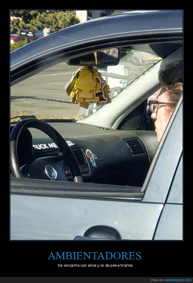 ambientadores,coche,wtf