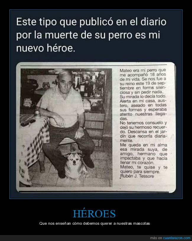 periódico,muerte,perro