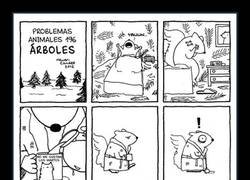 Enlace a Problemas de ardillas