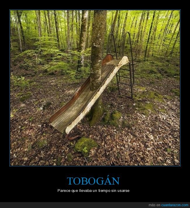 tobogán,árbol,wtf