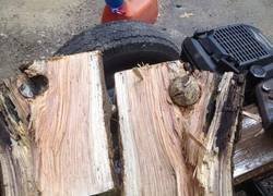 Enlace a Hallazgo inesperado