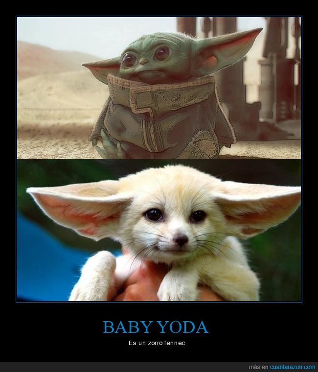 baby yoda,zorro fennec,parecidos