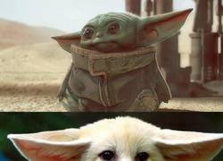 Enlace a Parecidos razonables