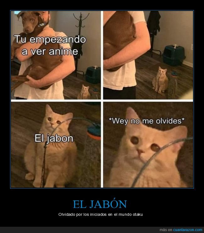 anime,jabón,otaku,perros,gatos