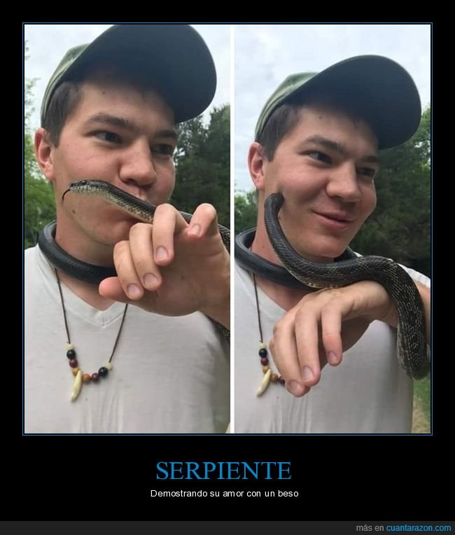 serpiente,beso,mordisco