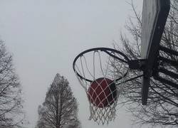 Enlace a Baloncesto bajo cero