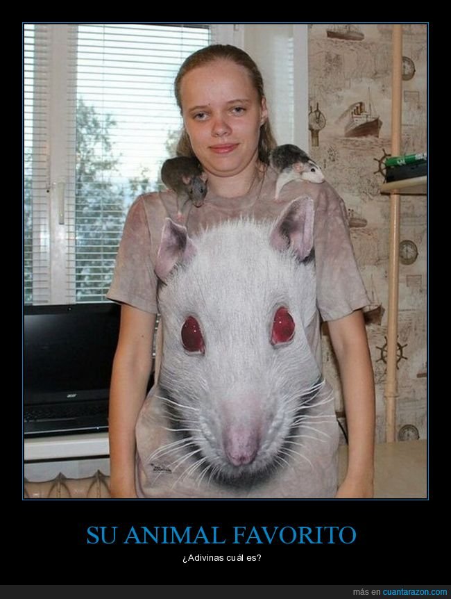 ratas,camiseta,wtf