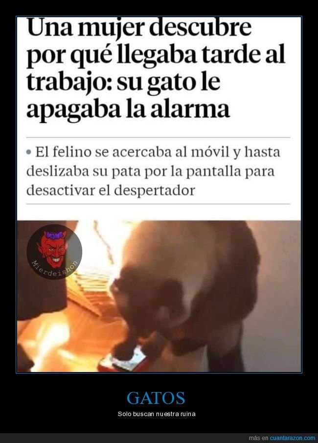 llegar tarde,trabajo,gato,apagar,alarma