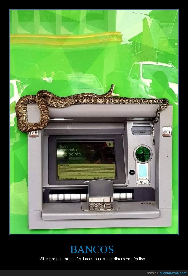 serpiente,cajero,wtf