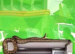 Enlace a Cada vez está más difícil lo de sacar dinero en efectivo