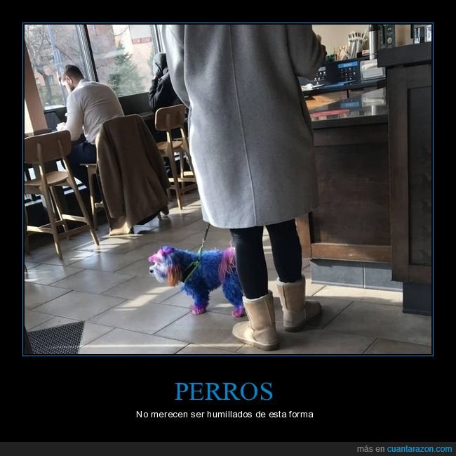 perro,pelo,colores