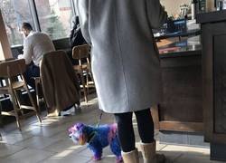 Enlace a Dignidad arrebatada