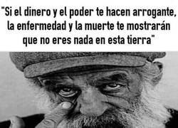 Enlace a Los pies en el suelo