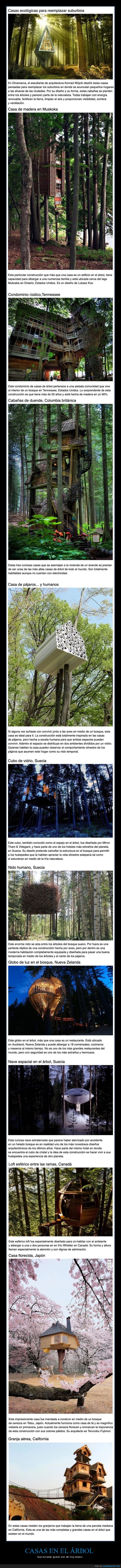 casas en el árbol,casas,árboles