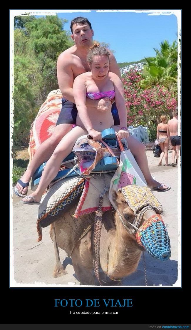 camello,careto,caretos,wtf
