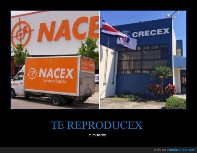 nacex,crecex,nombres,empresas