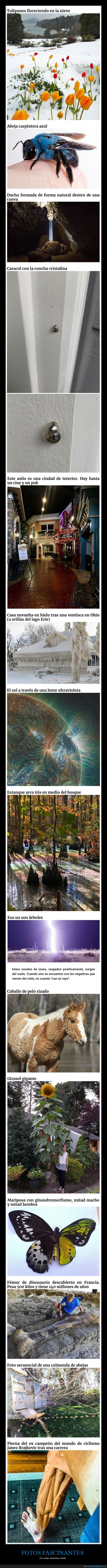 fotos curiosas,curiosidades