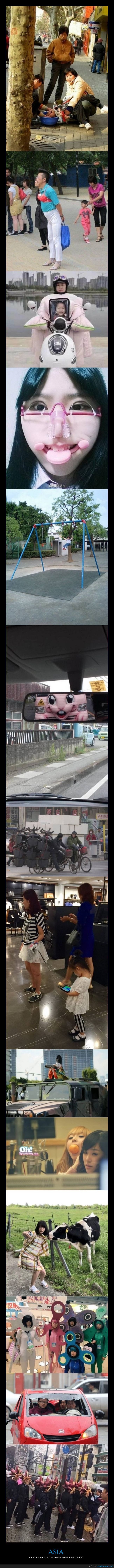 asia,situaciones peculiares,wtf