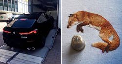 Enlace a Imágenes llenas de perfección que te darán la paz interior que necesitas