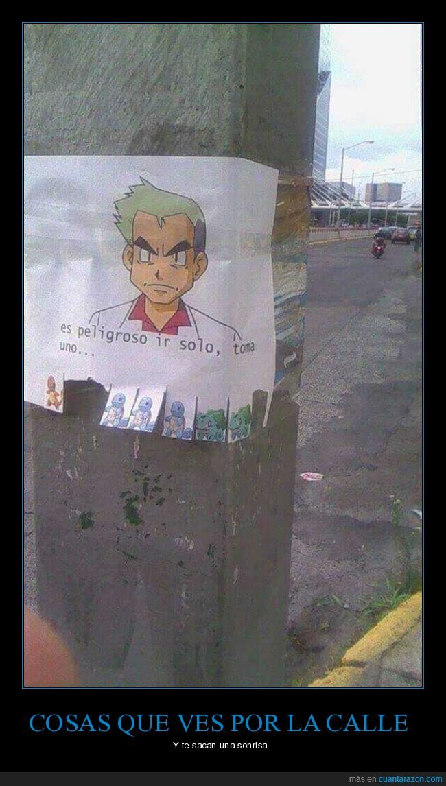 pokemon,cartel,peligroso