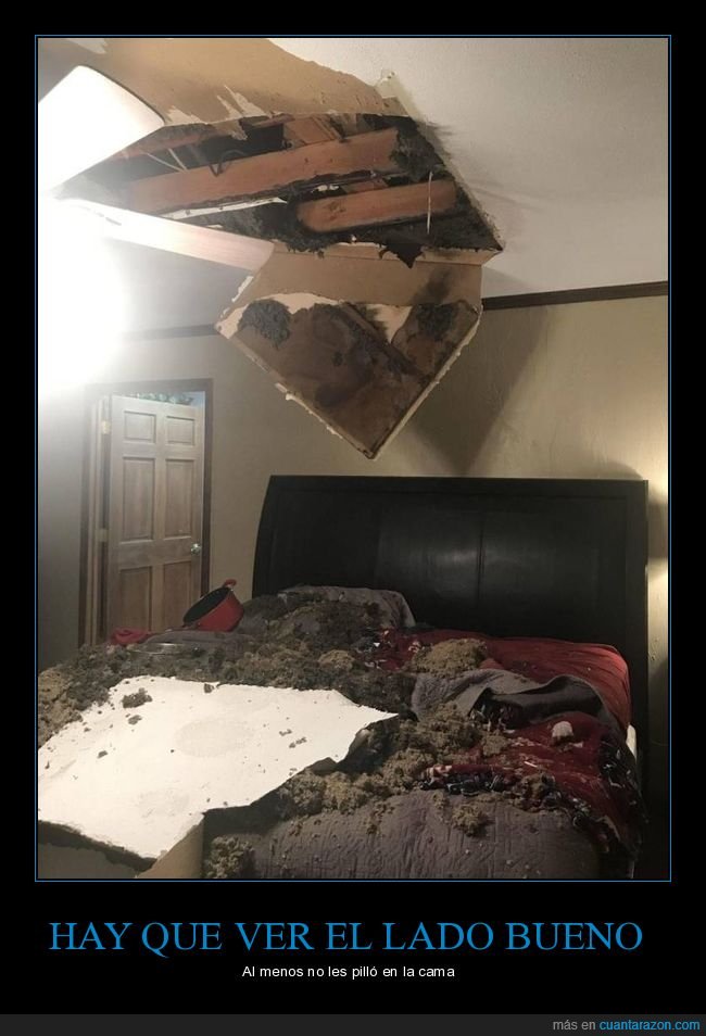 cama,techo,fails