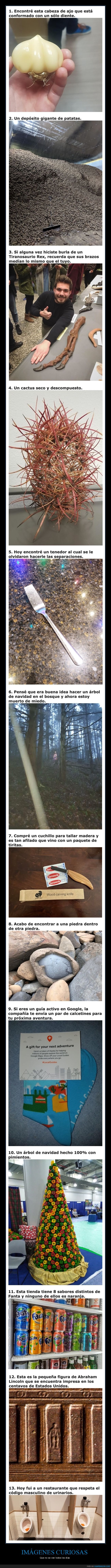 hallazgos,curiosidades