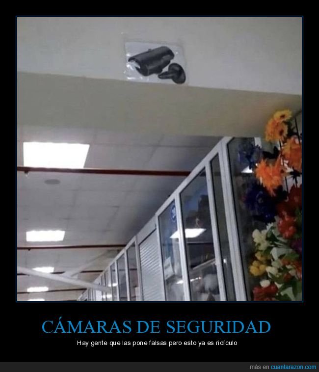 cámara de seguridad,fotocopia,wtf