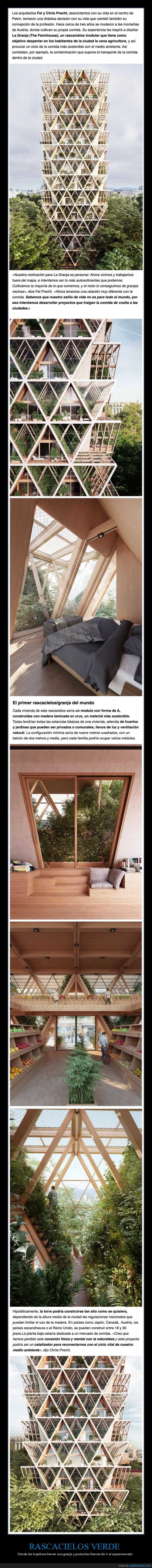 edificio,rascacielos,verde,alimentos