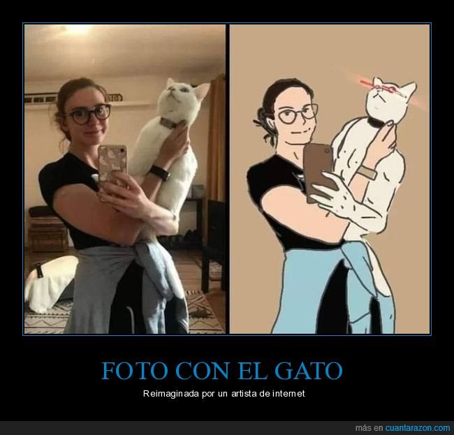 foto,gato,dibujo,mindfuck