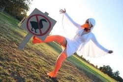 Enlace a Breaking the law