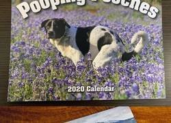 Enlace a Ya está aquí el calendario de perros cagando 2020