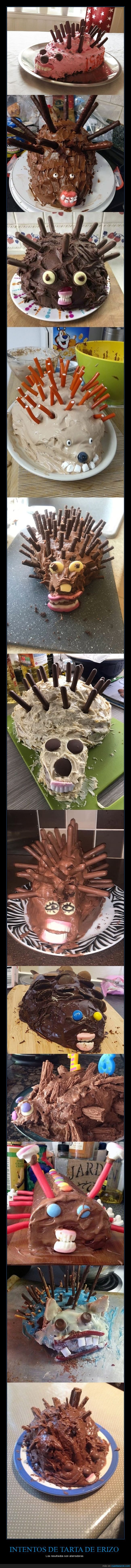 tartas,erizo,fails