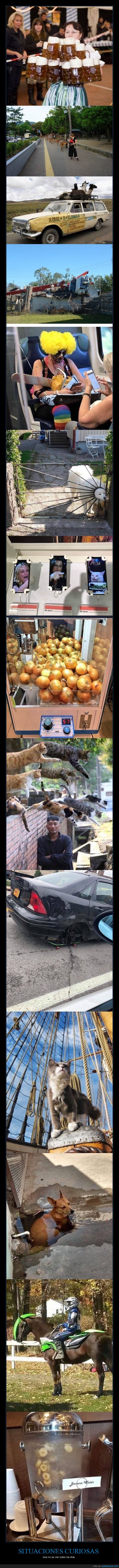 situaciones curiosas,wtf