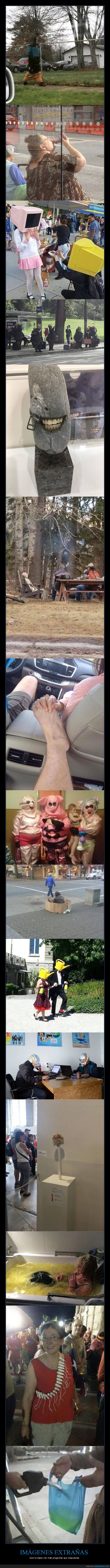 imágenes extrañas,sin explicación,wtf