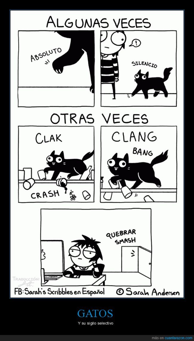 gatos,silencio,ruido