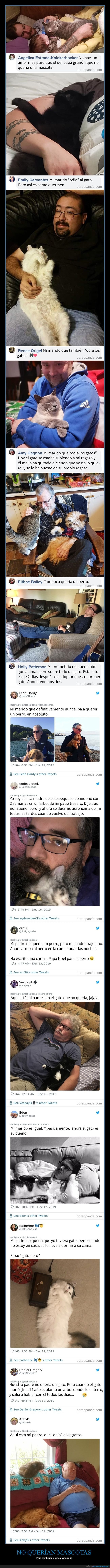 mascotas,no querer,cambiar de idea