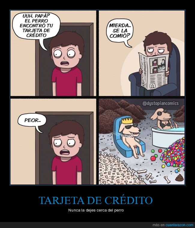 tarjeta de crédito,perro,comer,gastar