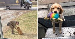 Enlace a Resulta que los conductores de UPS tienen un grupo de Facebook con los perros que se encuentran en ruta