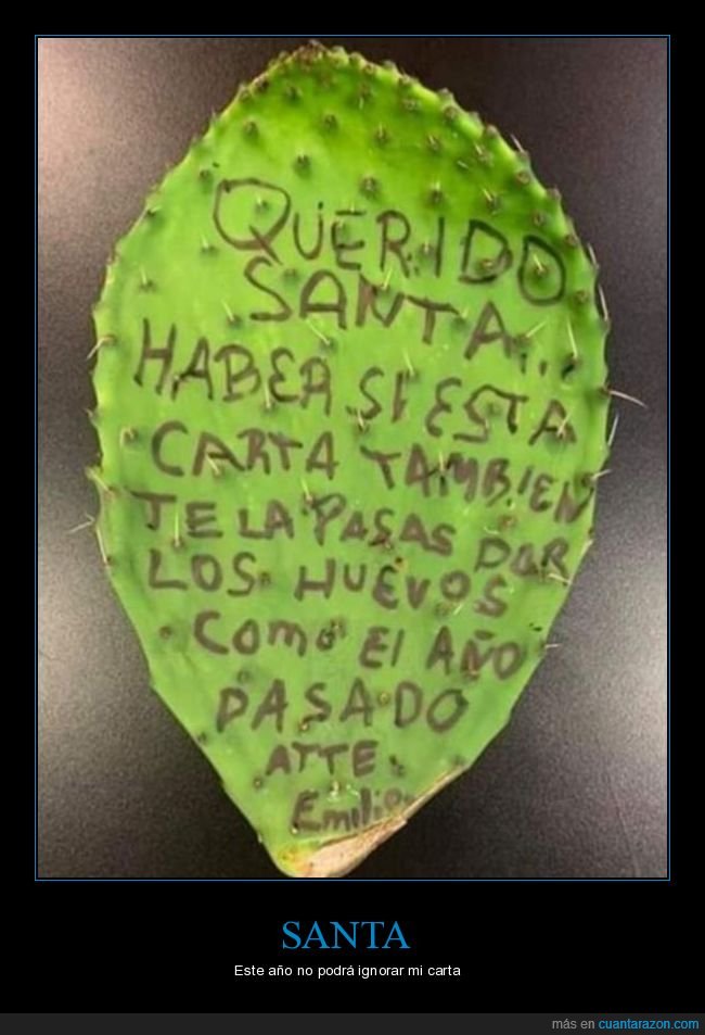 carta,papá noel,cactus