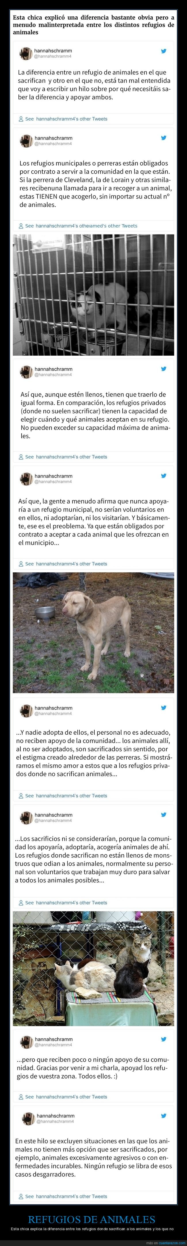 refugios,animales,sacrificar,diferencias