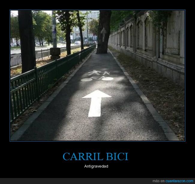 carril bici,árbol,flecha