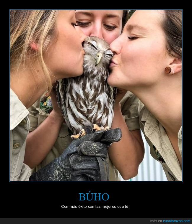 búho,chicas,besando