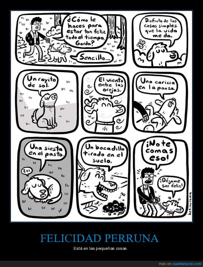 perro,feliz,comer,mierda